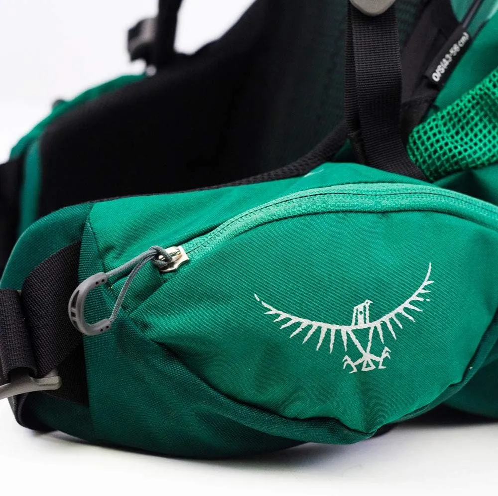 Osprey Rook 65L Men's Backpacking Backpack, Mallard Green