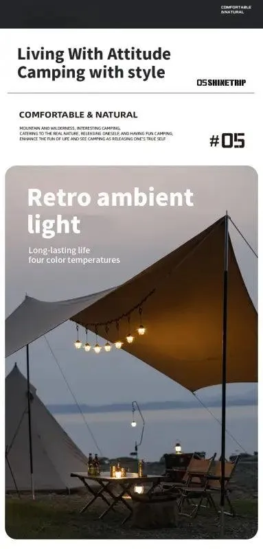 Outdoor Vintage Pendant Light