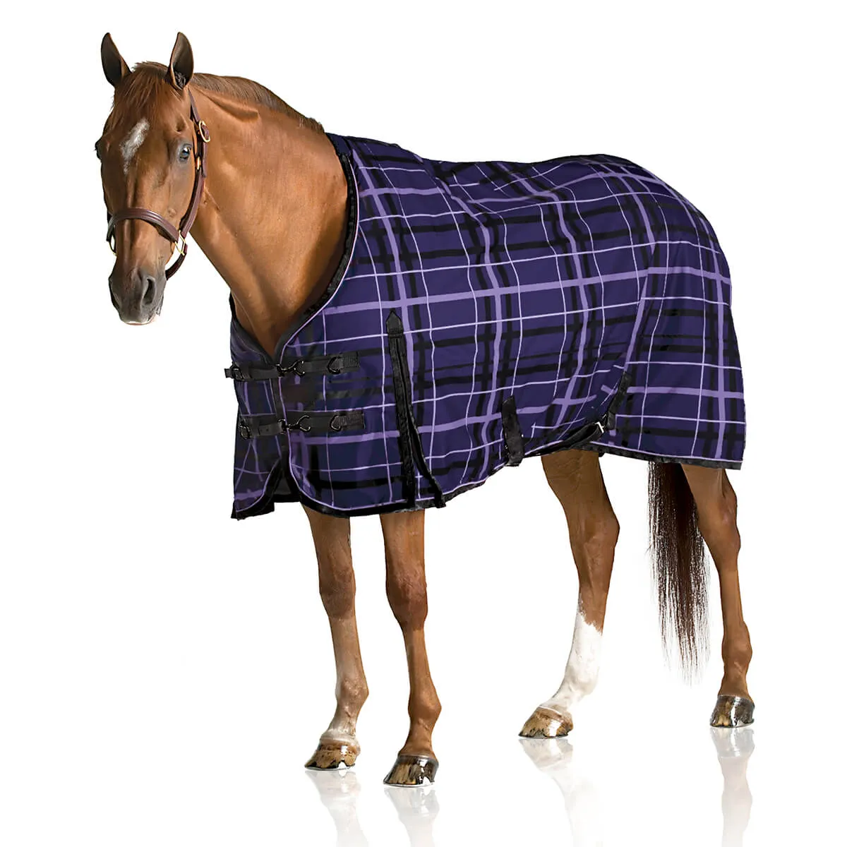 Pessoa® Alpine 1200D Turnout Blanket with 180G Fill