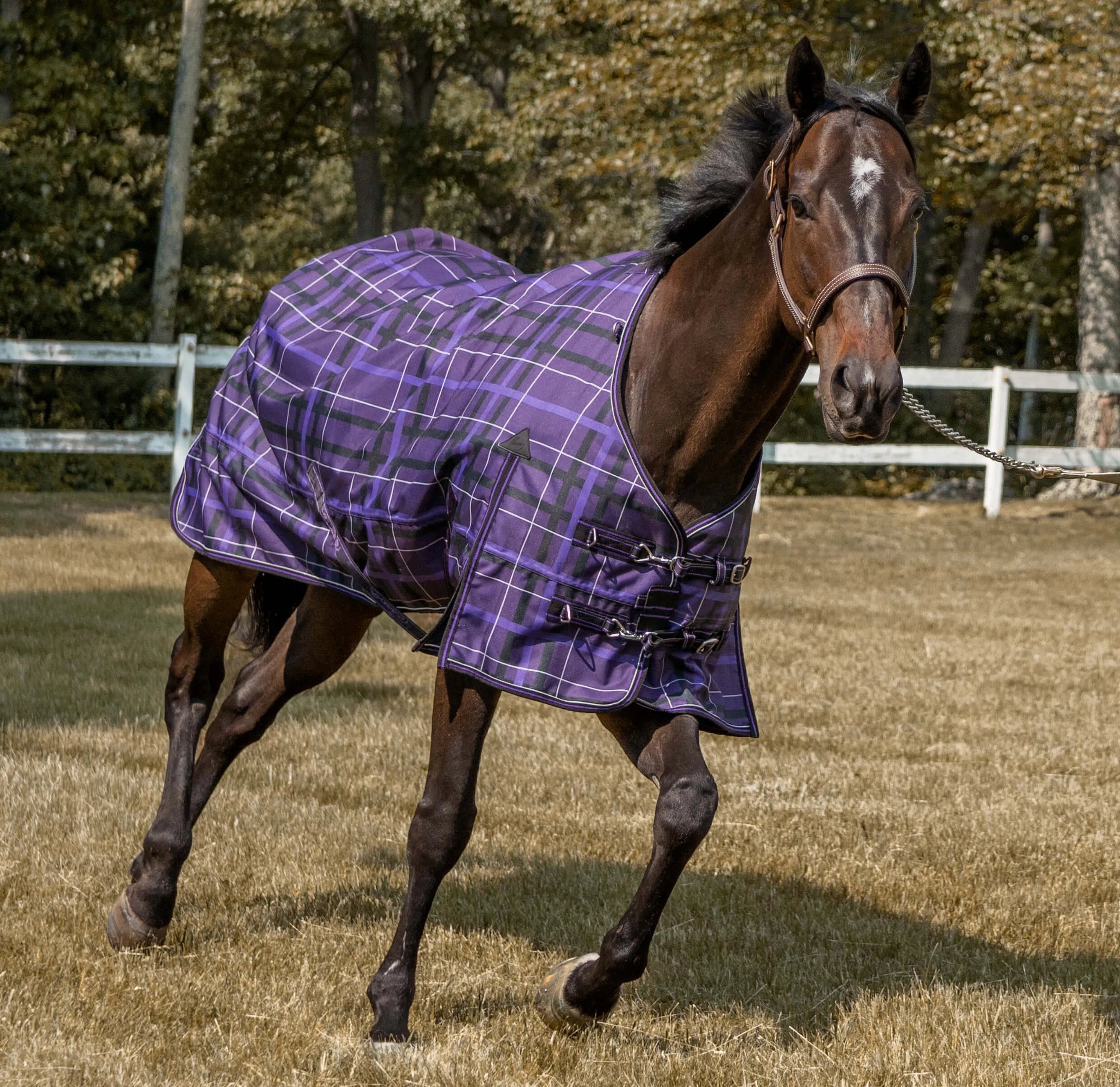 Pessoa® Alpine 1200D Turnout Sheet