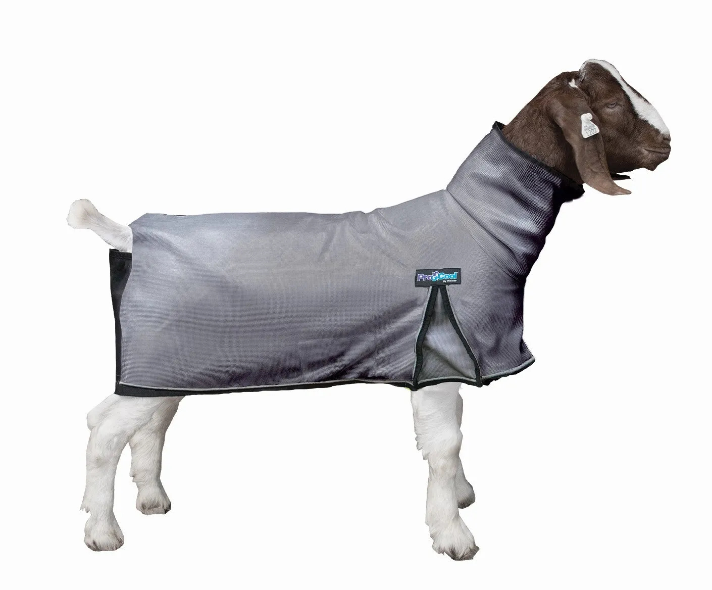 ProCool Mesh Goat Blanket with Reflective Piping