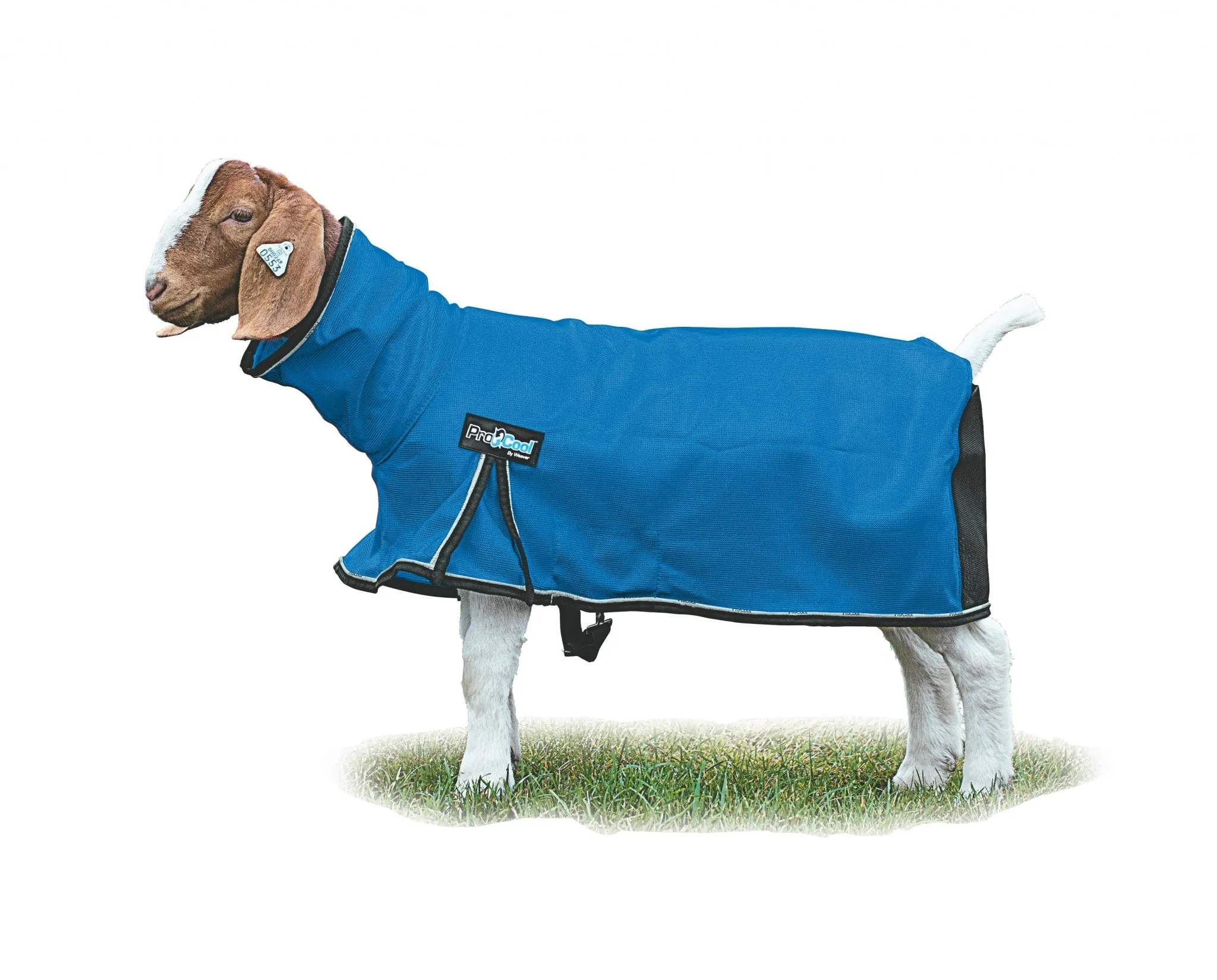 ProCool Mesh Goat Blanket with Reflective Piping