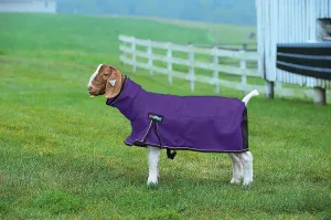 ProCool Mesh Goat Blanket with Reflective Piping