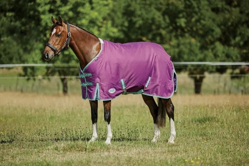 WB Premier Freedom Pony Medium