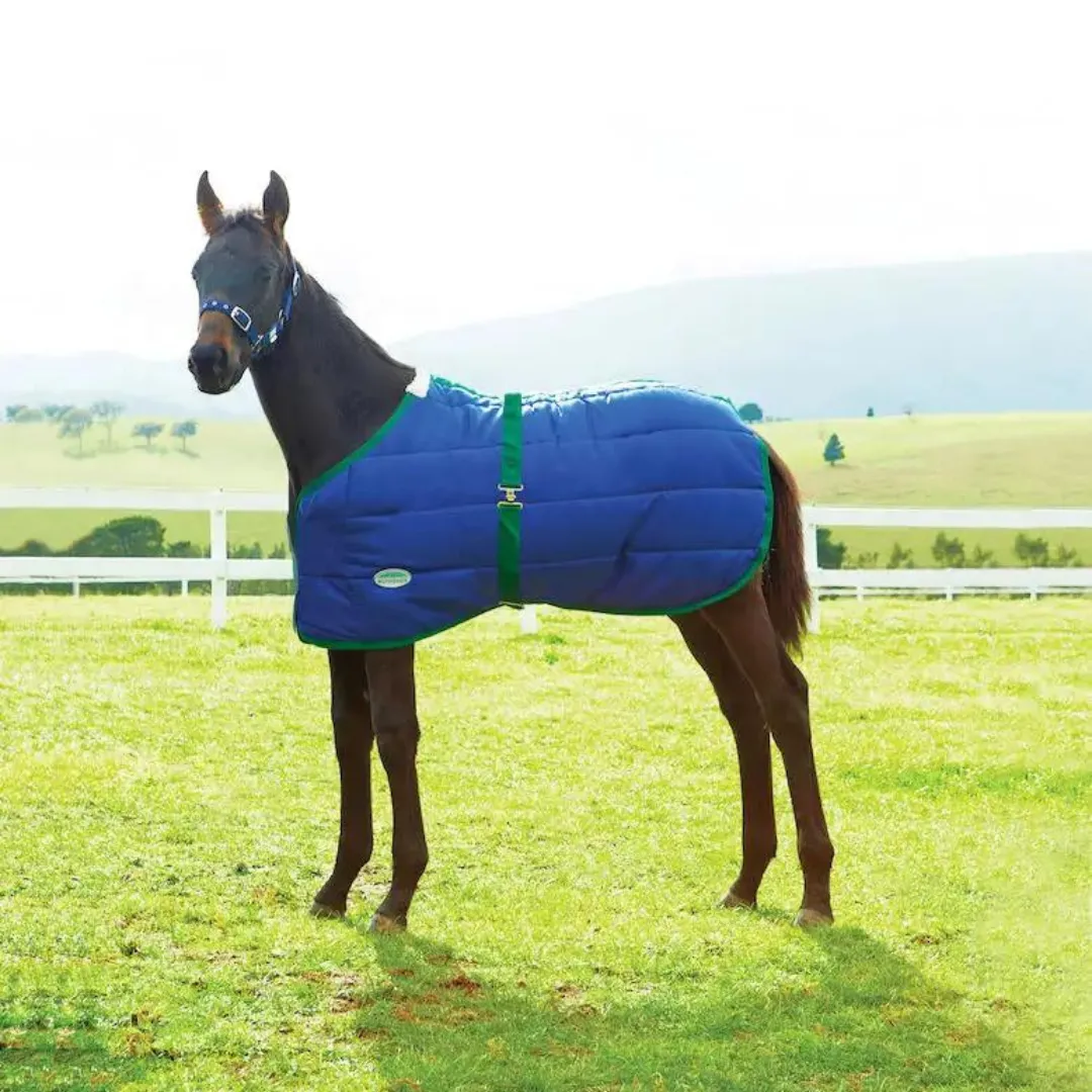 Weatherbeeta 420D Foal Standard Neck Medium