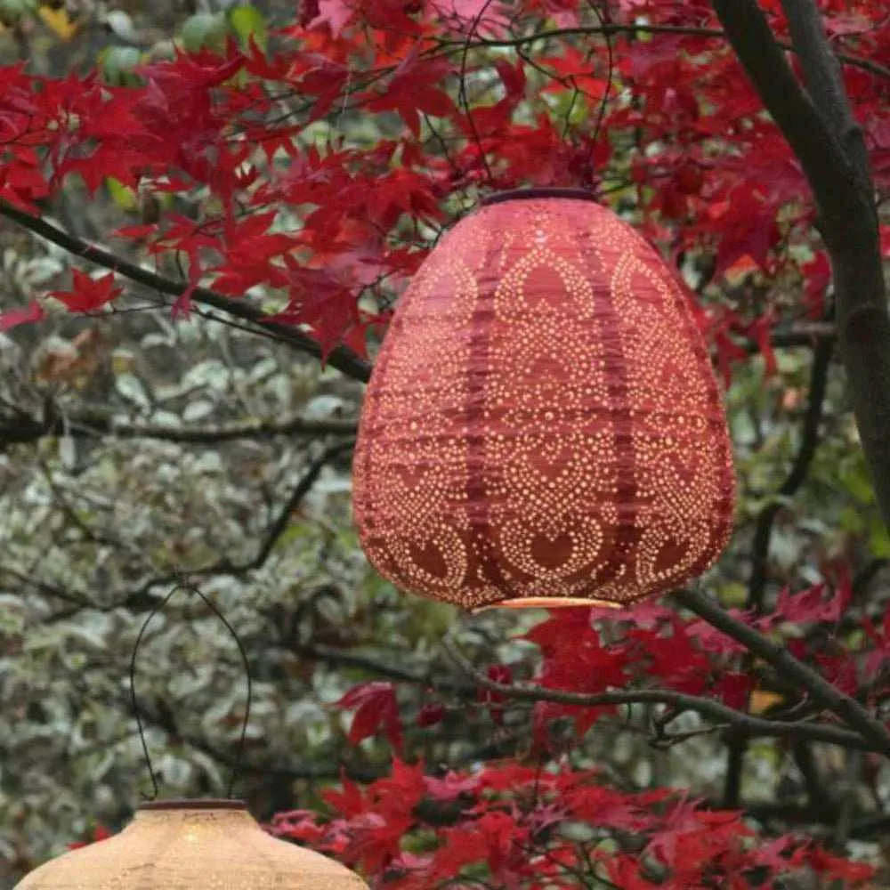 x3 Solar Lantern Pumpkins & Dome