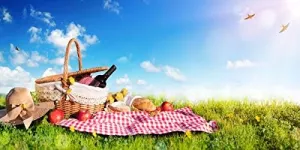 Yeele 8x4ft Outdoor Picnic Backdrop Natural Scenery Green Grassland Picnic Blanket Basket Red Wine Apples Bread PhotoBackground for Spring Outing Holiday Family Gathering Party Events Studio Props
